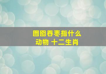 囫囵吞枣指什么动物 十二生肖